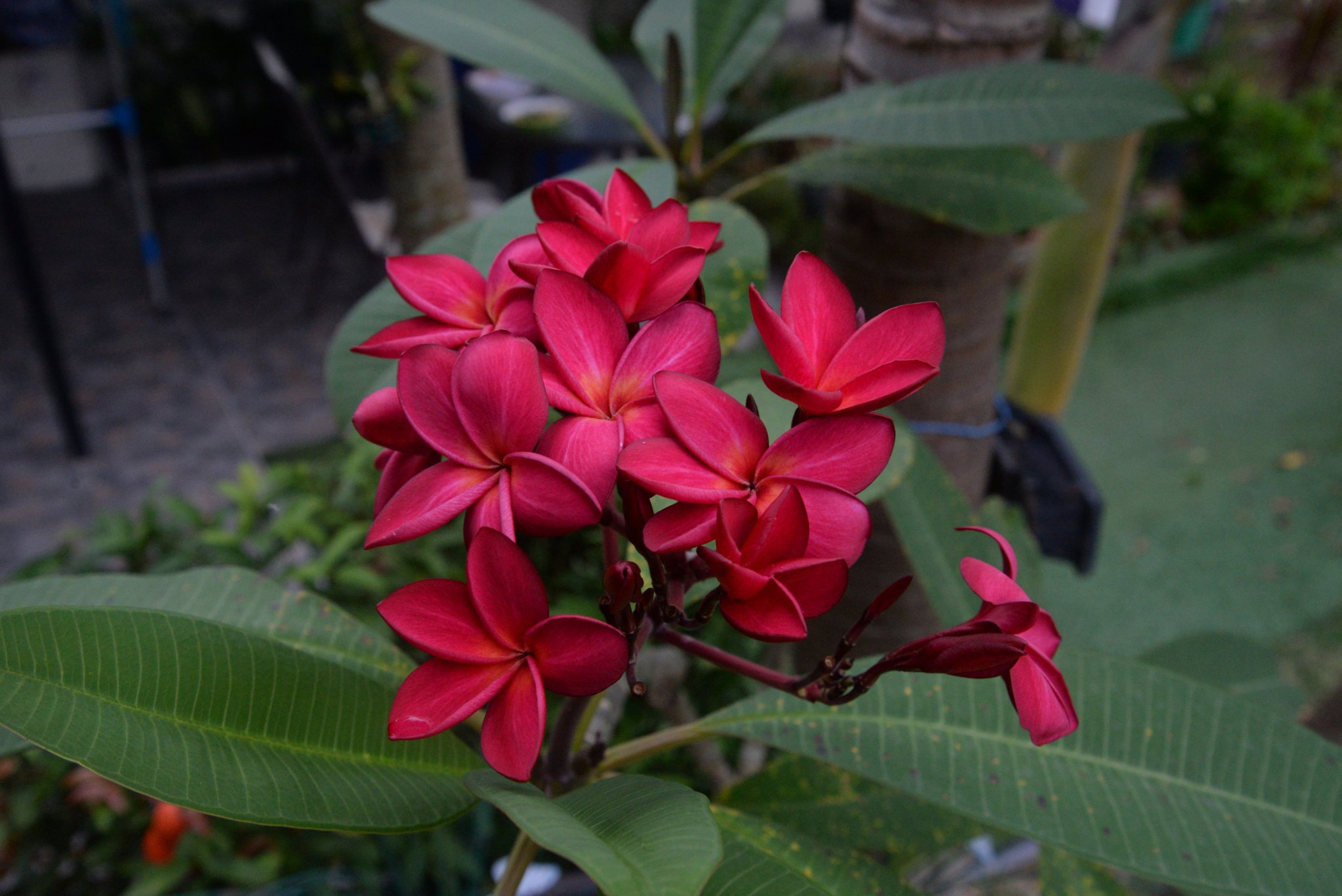 DSC_5763.JPG