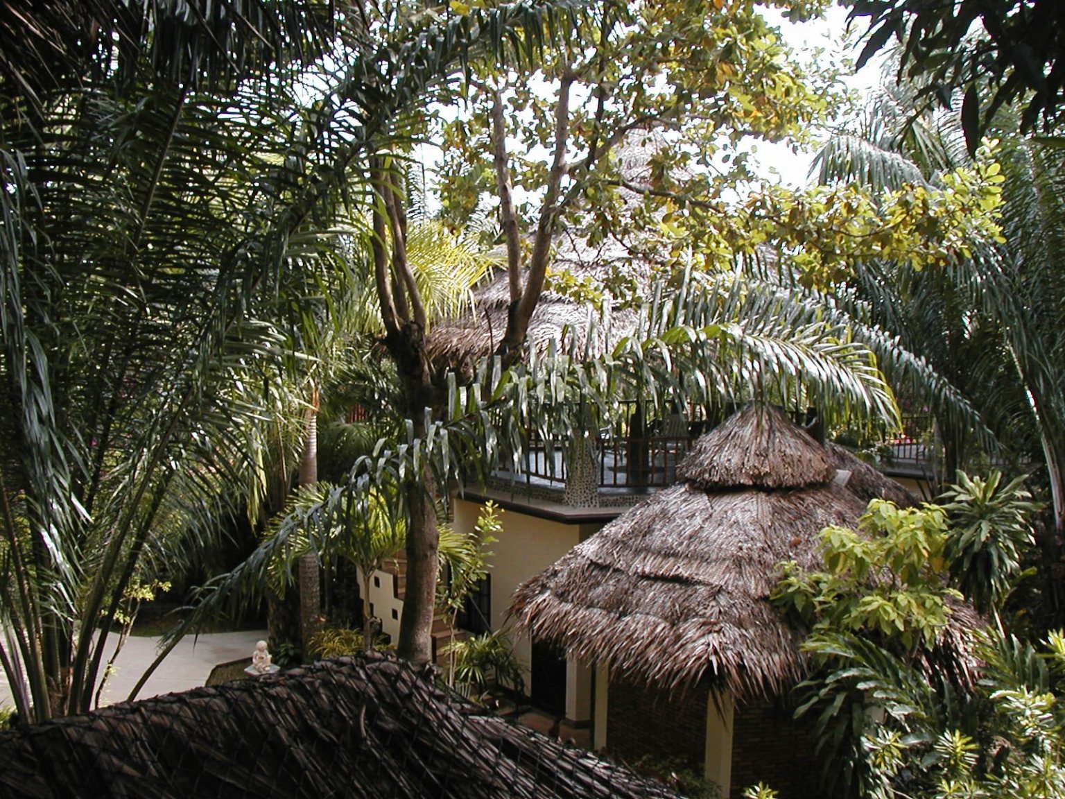 P1010077.JPG