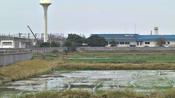 PNECO610808001000301.jpg