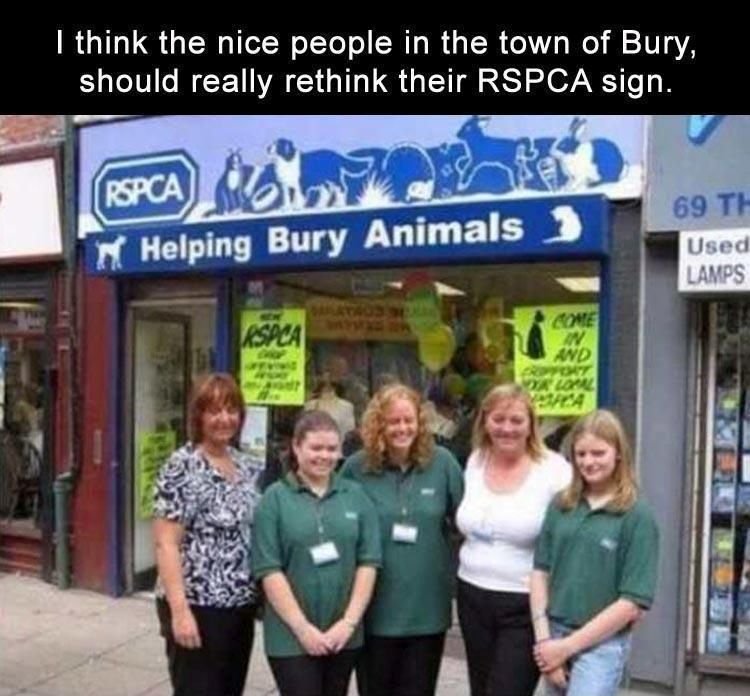 RSPCA.jpg.56b9511ec1065db39041b7049f6bb913.jpg