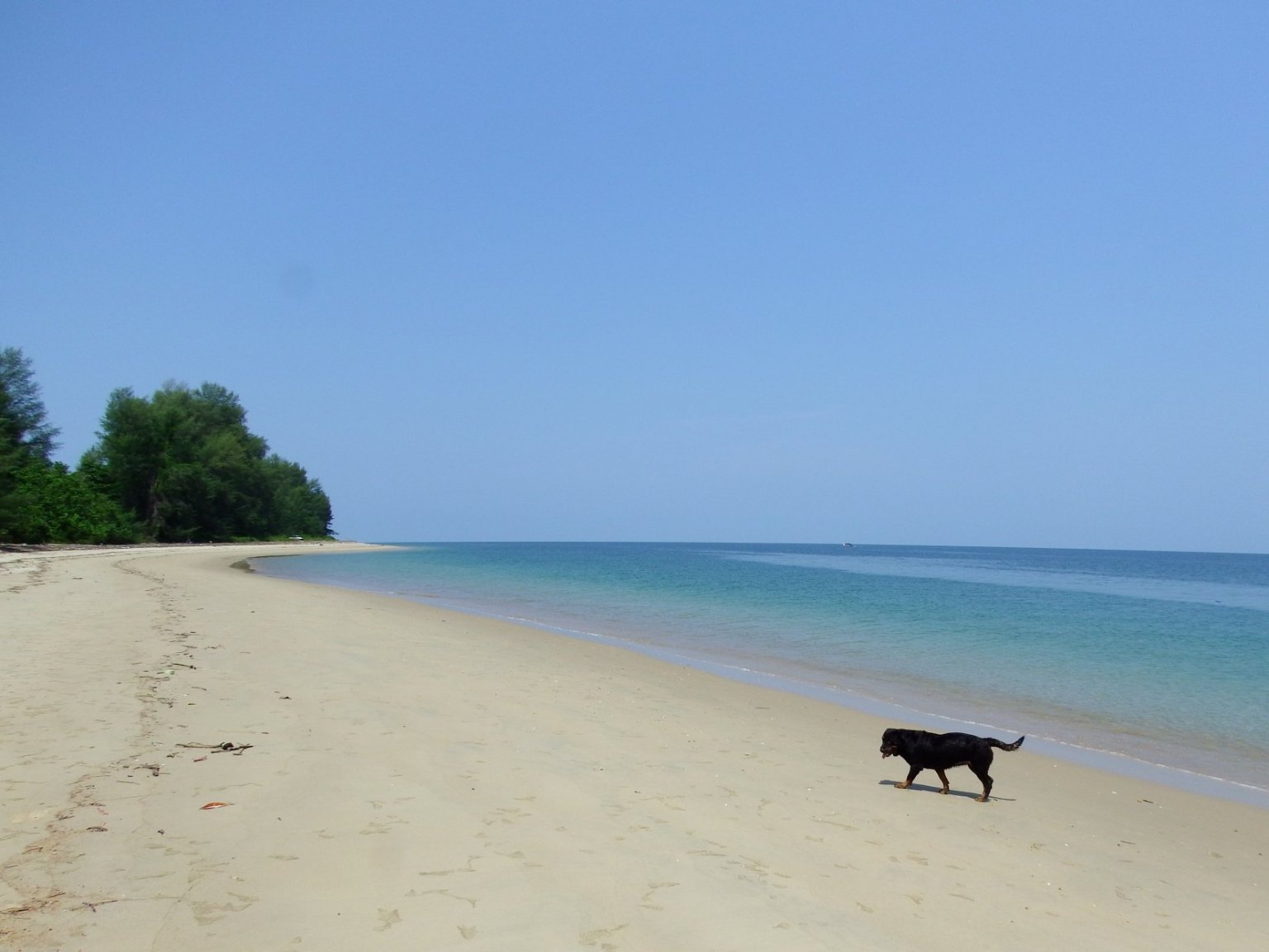 beach.JPG