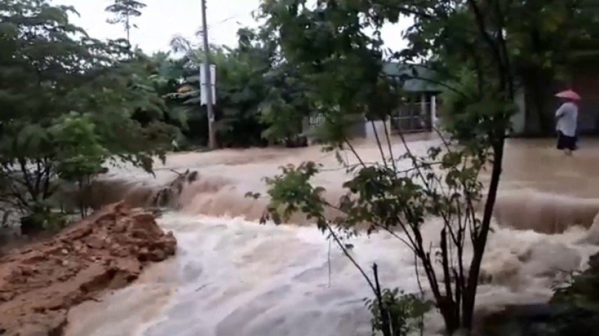news75815_855.jpg