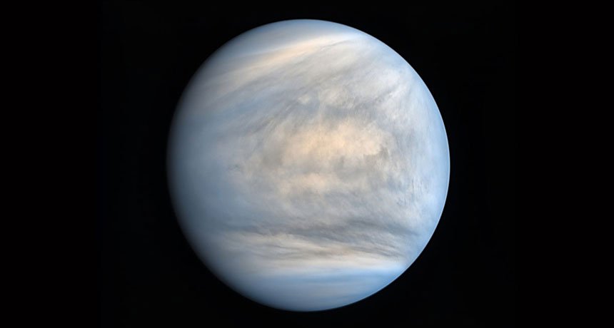 020618_LG_venus-fobette_feat.jpg