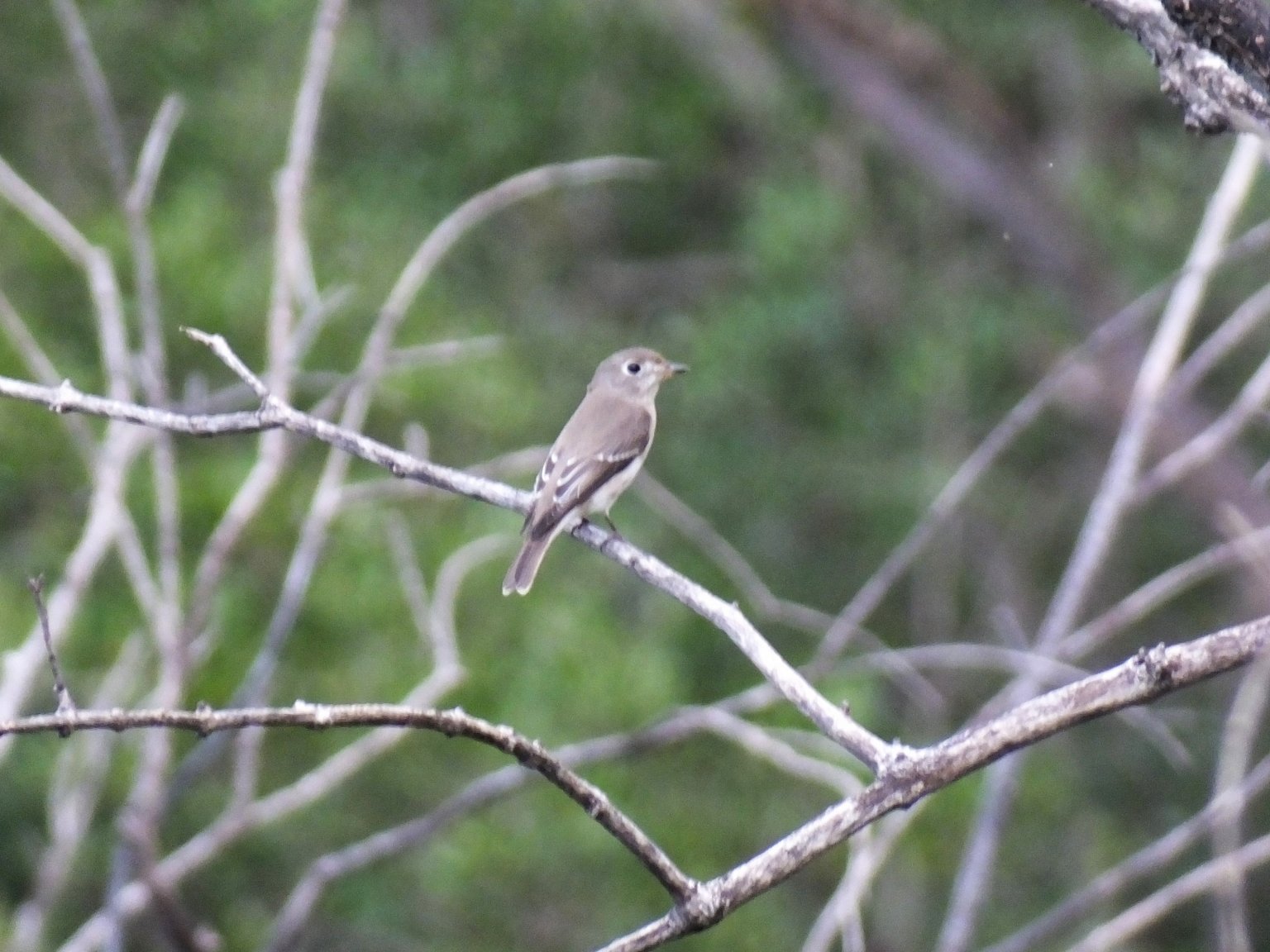 ABFC2 26 Sep 18_first.jpg