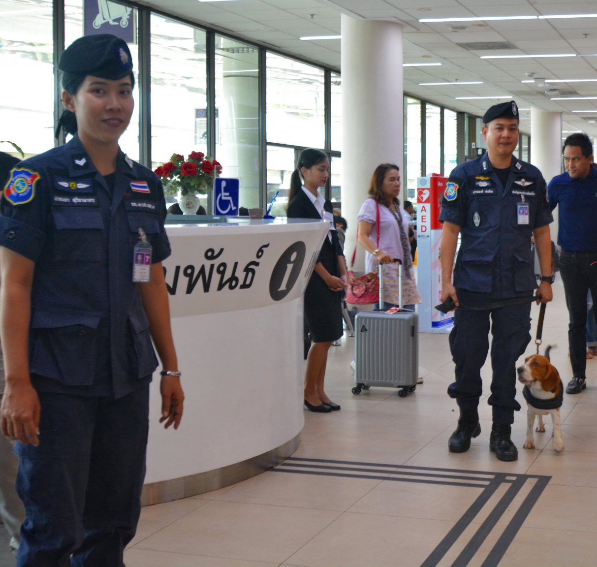 drug dog2.JPG