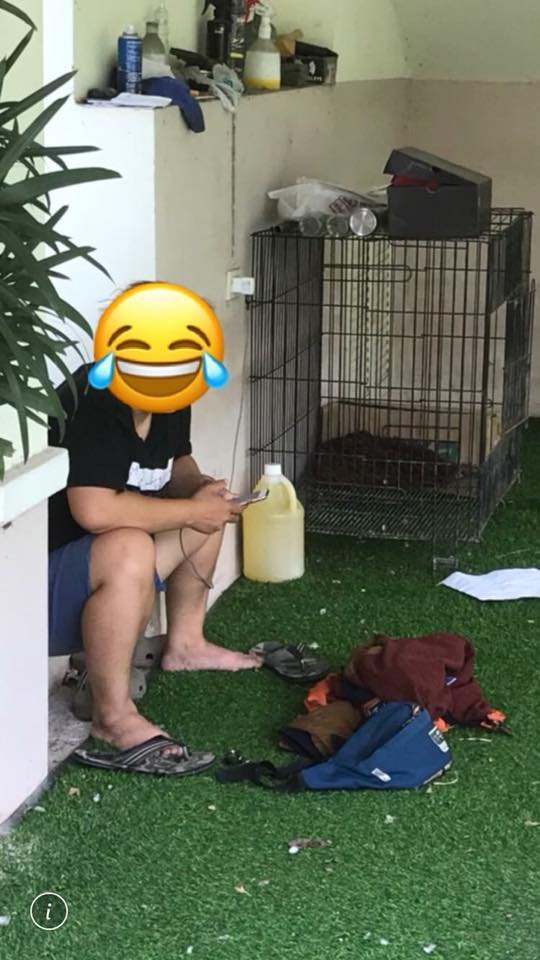 4pm.jpg