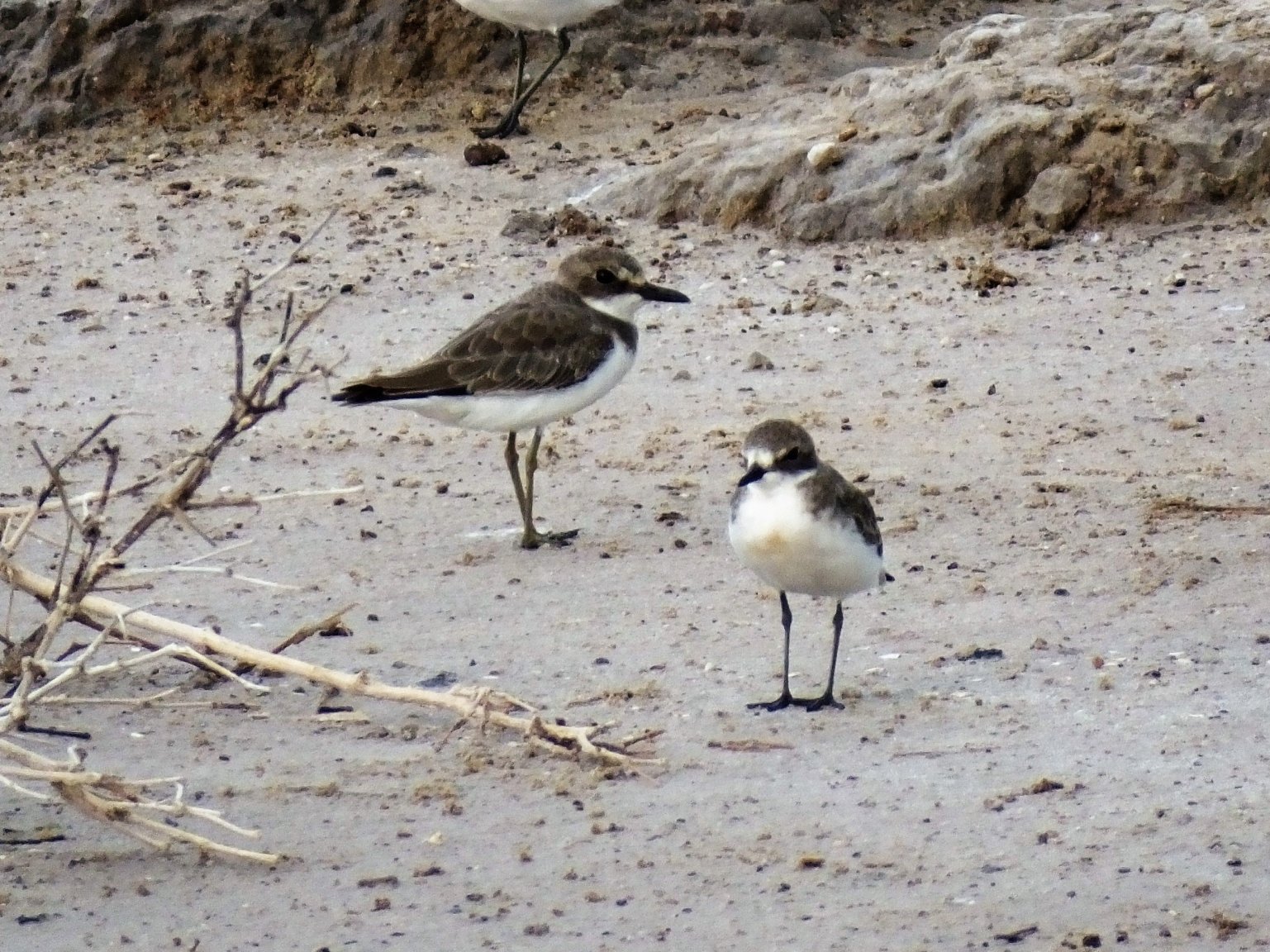 GSP_LSP1 26 Sep 18.jpg