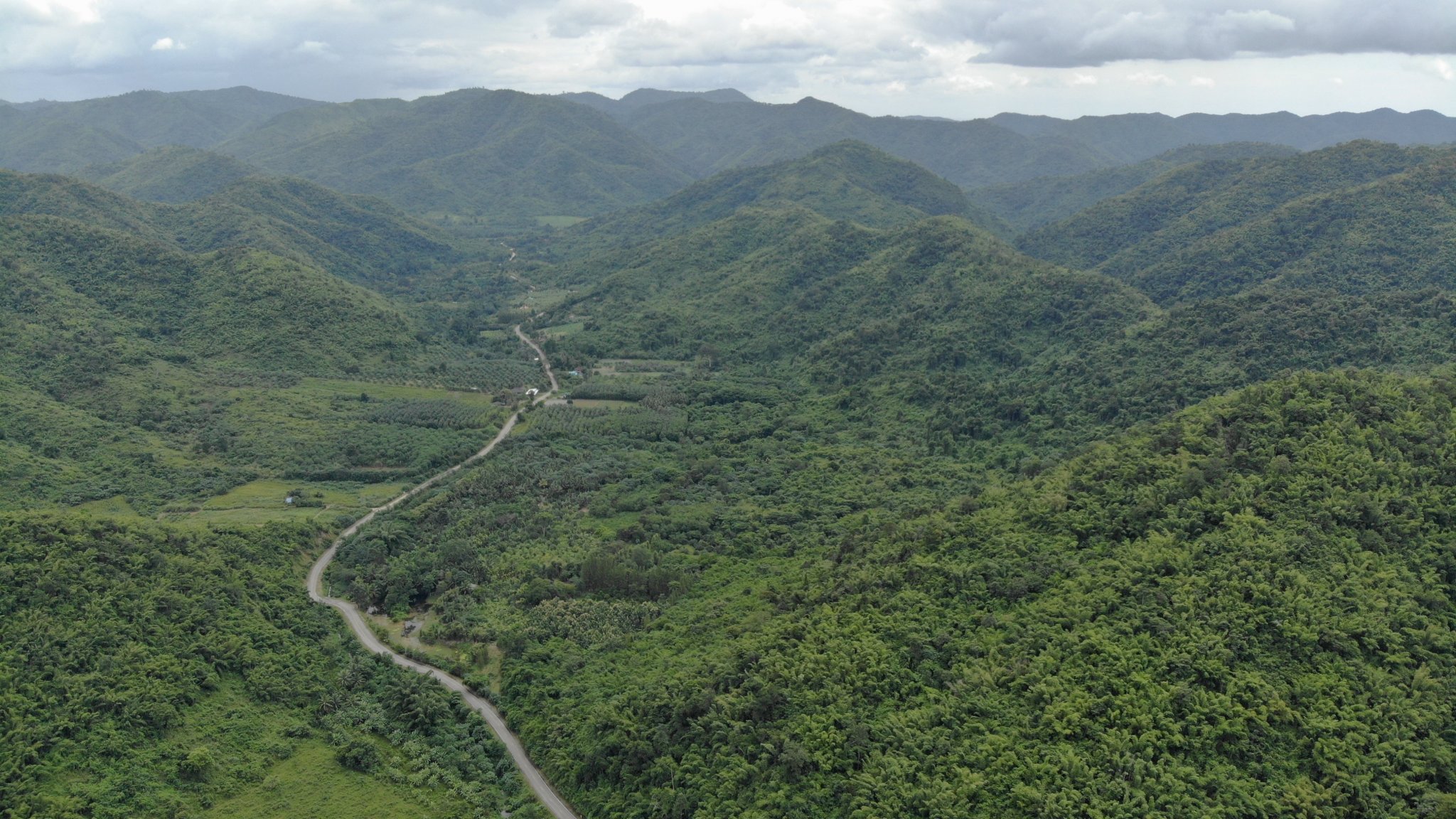 DJI_0215.JPG