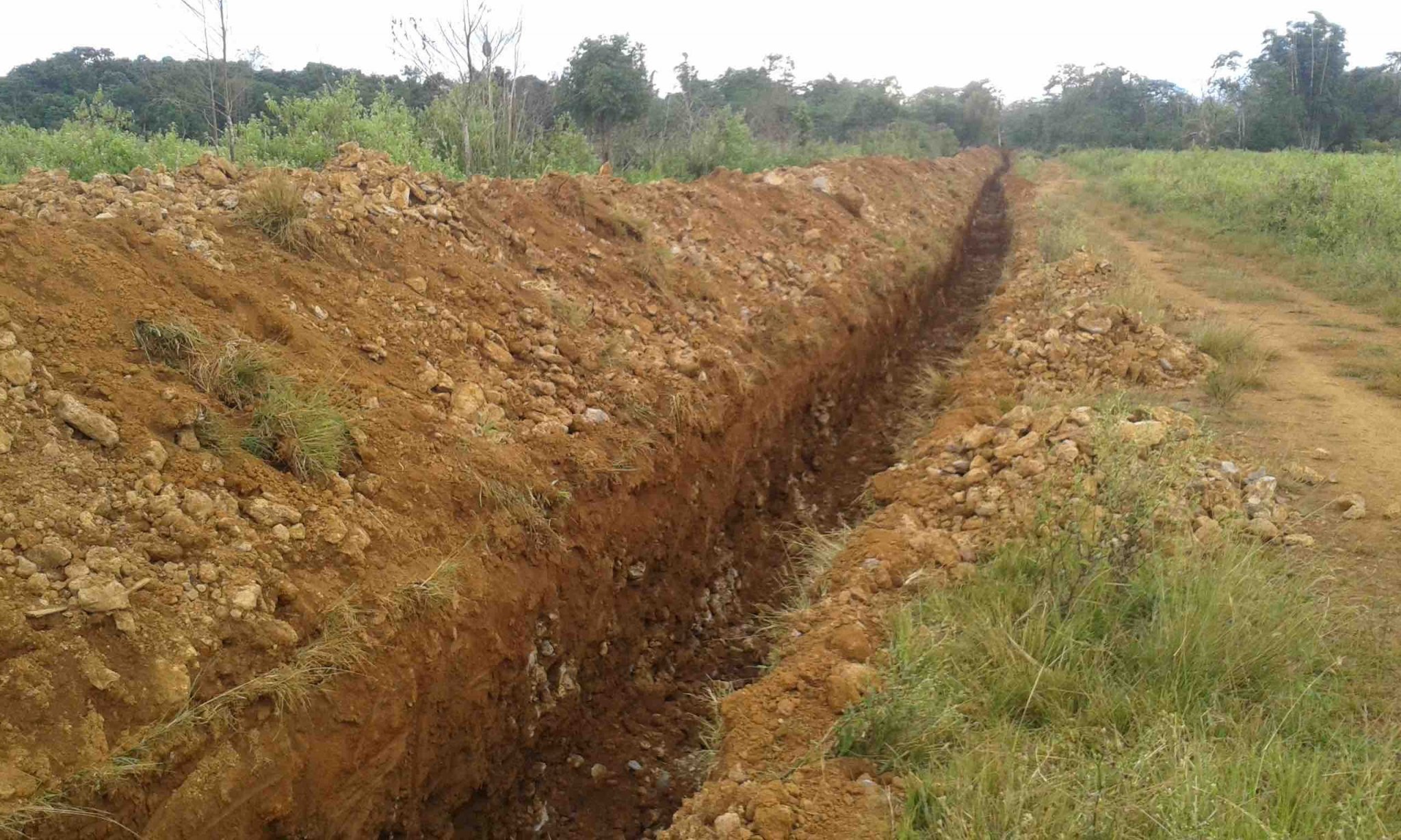 ditch.jpg