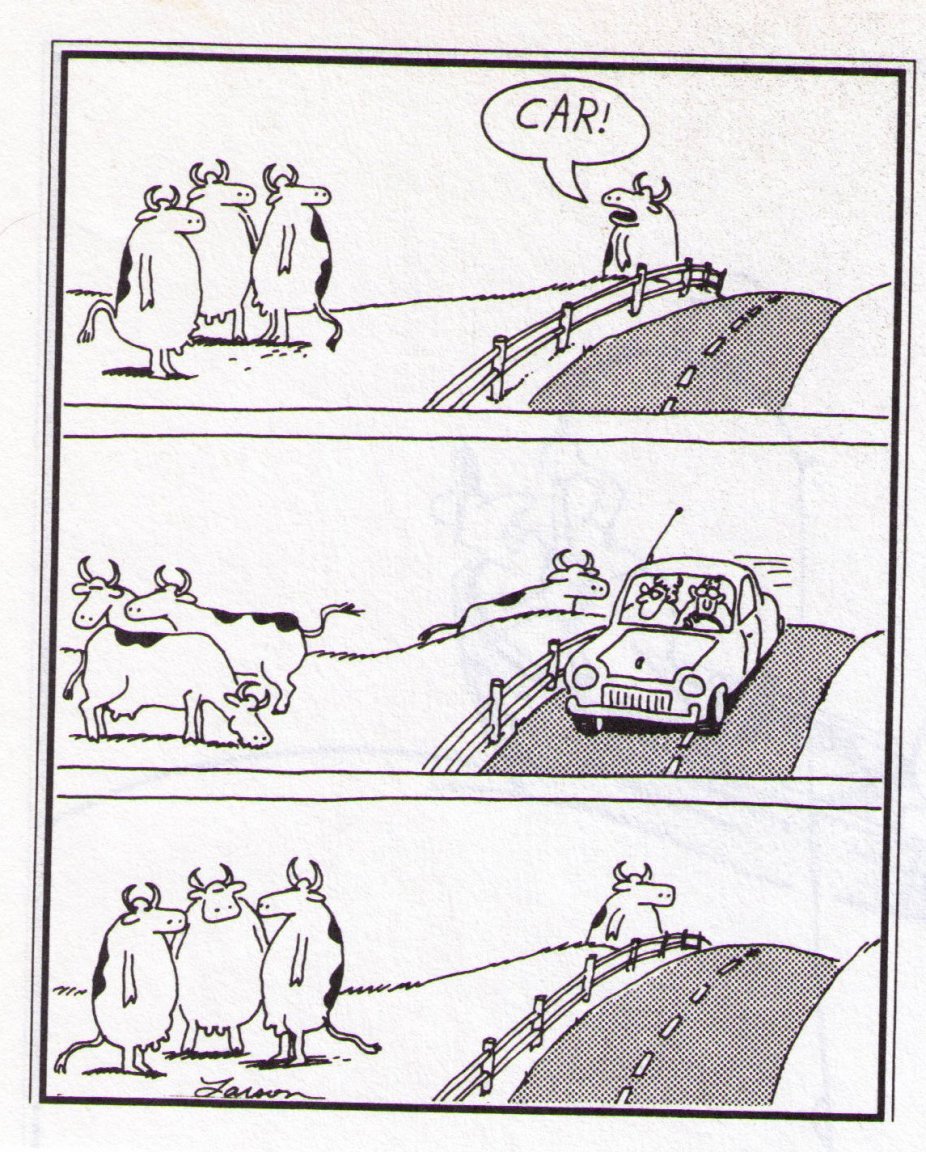 far-side-cows.jpg