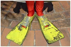 flippers.jpg.8b270c84e9a89341e946cabfa4969d25.jpg