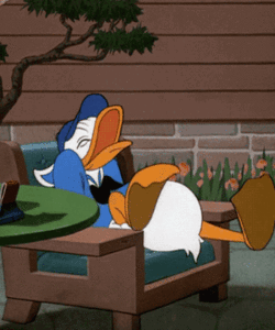 image.gif.ecd6e6de6818ee1fccaef4f67e0b713e.gif