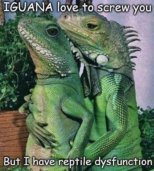 100829648_Iguanasex.jpg.a0792d36e155005844526530715b1e21.jpg