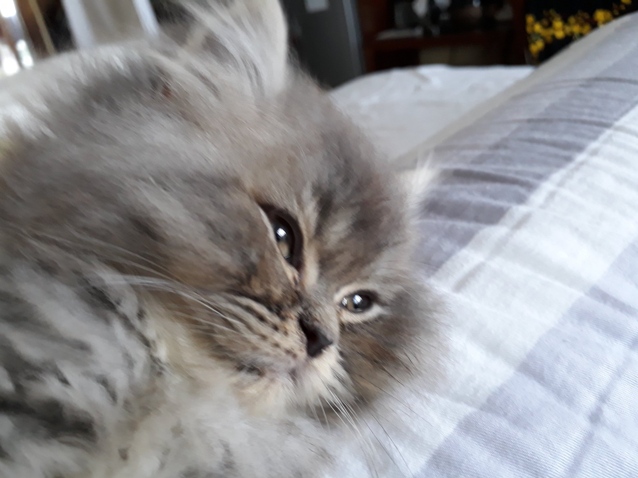 20180515_161617.jpg