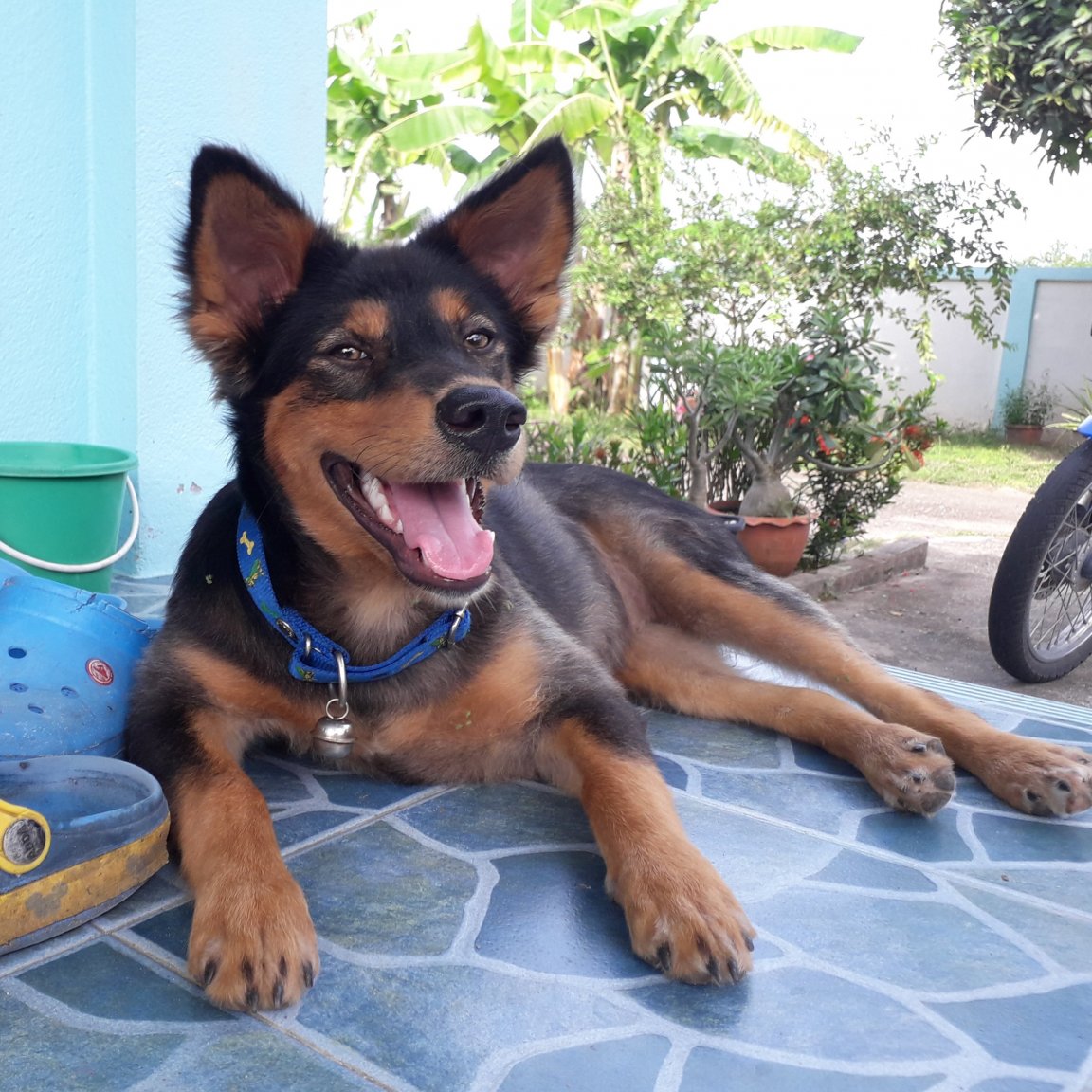 20181014_151117.jpg