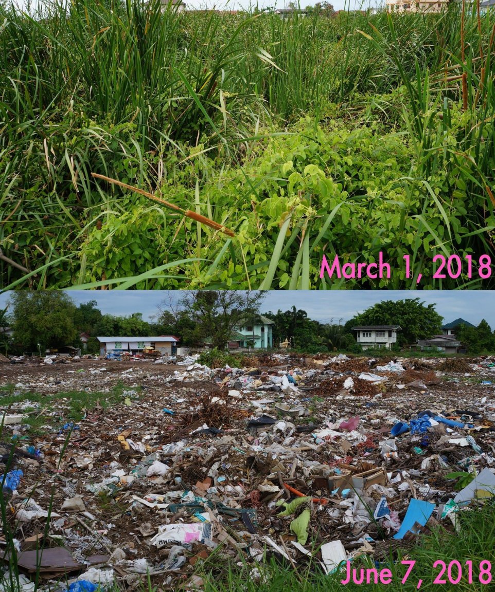 2079266760_TrashTransformation.thumb.jpg.0013f8dcb7038844d0dddae28dc1d5b2.jpg