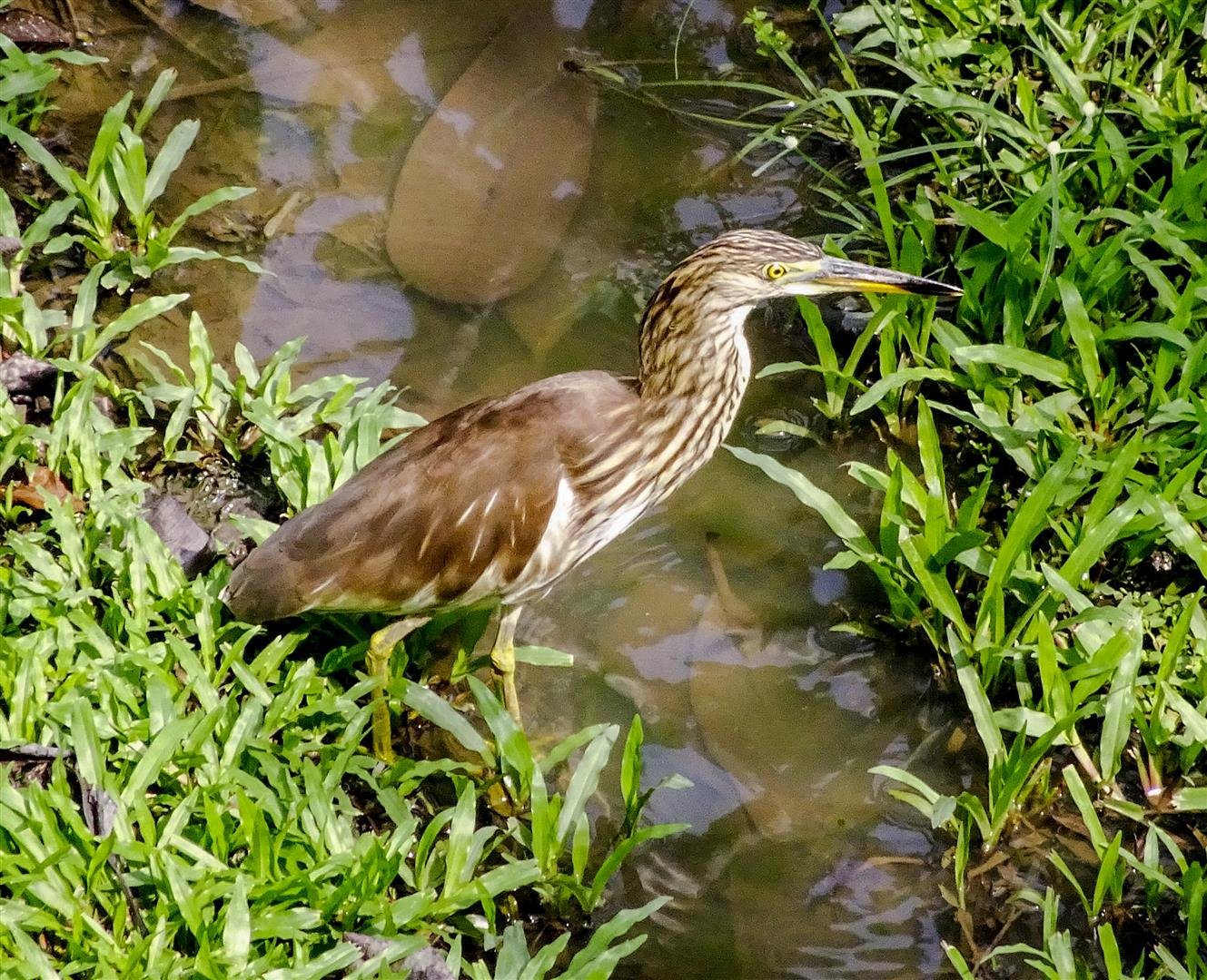 399993933_DSC05228_edited(Large).jpg.d3d4c352e9da29a827bd3d75a50009d5.jpg