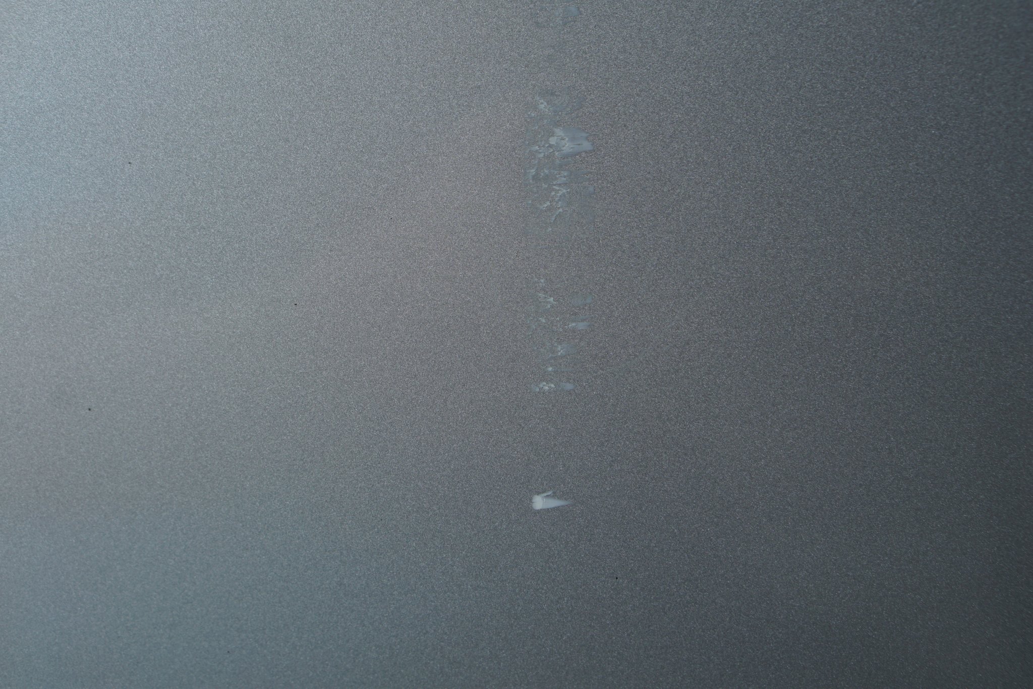 DSC08802.JPG