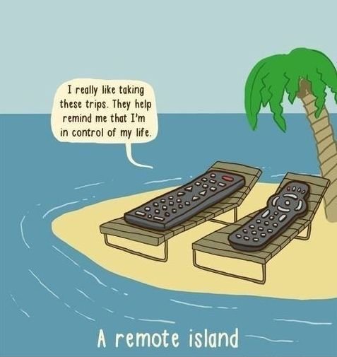 Funny-remote-pun.jpg.cc28ef6b6d92852767af5e69fc1391a6.jpg