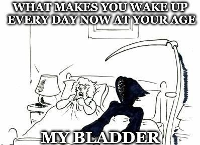bladder.jpg.fbdce1e8262b3bc976279e6c675760e9.jpg