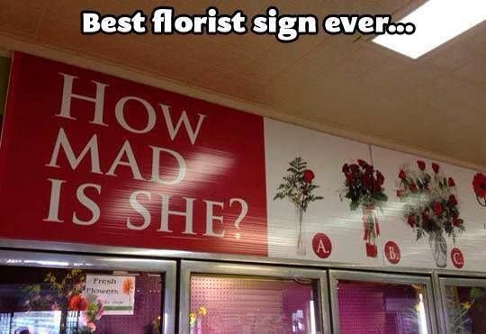 florist.jpg.1a3725f58f81752ef1703579e733776d.jpg