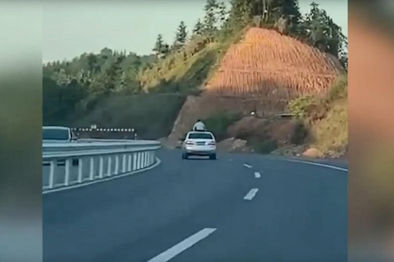nz-tiktok-301021.jpg