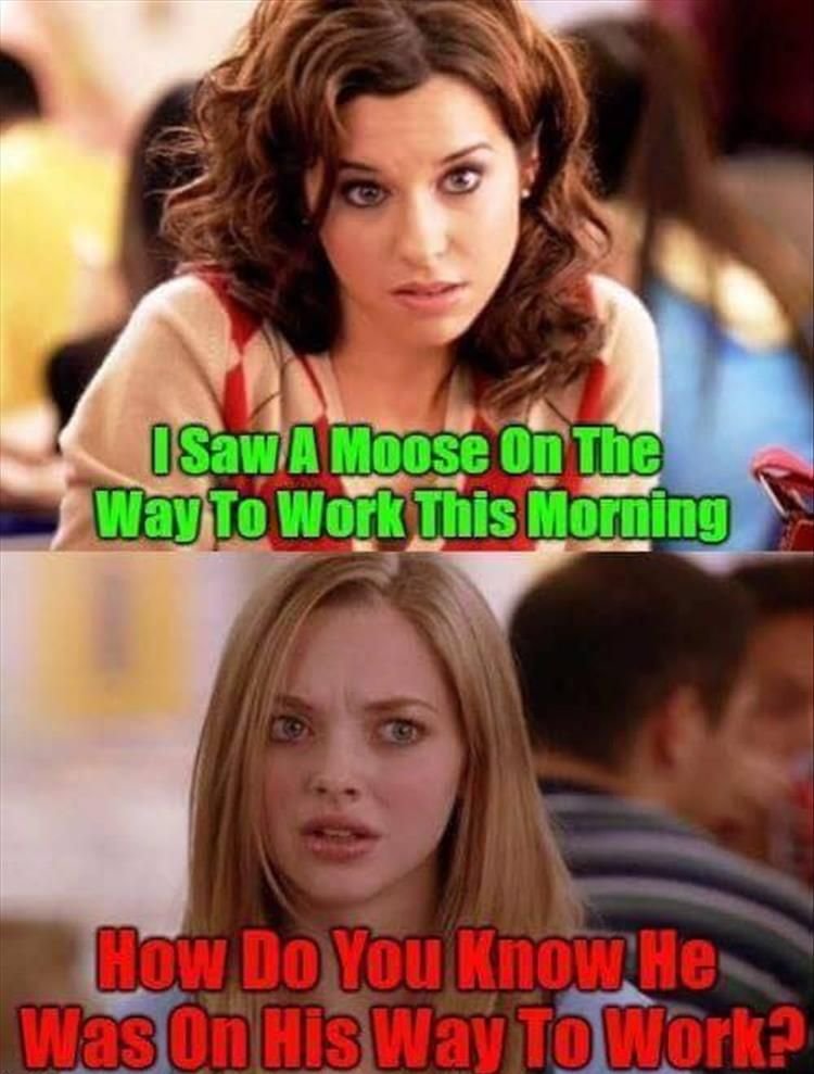 the-moose.jpg.2e1f74ad18390270957512290f7be4c2.jpg
