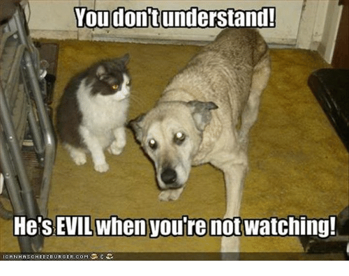 youdontunderstand-hes-evil-when-yourenot-watching-icanhasohee2burger-com-32460911.png.b470f1dfd0d2c68fc15a51db8c7f463b.png