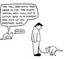 1679221723_dogpoomaster.jpg.00148b2d7a84d87be369b068b7150d34.jpg