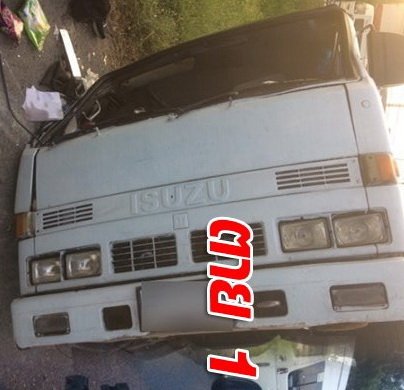 201186094_ISUZUELF.jpg.0d6204469595ee38dadbadef49ea9166.jpg