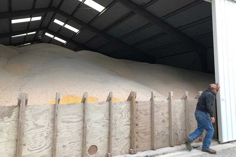 2018-11-21T111935Z_3_LYNXNPEEAK090_RTROPTP_4_USA-TRADE-CHINA-GRAINS.JPG