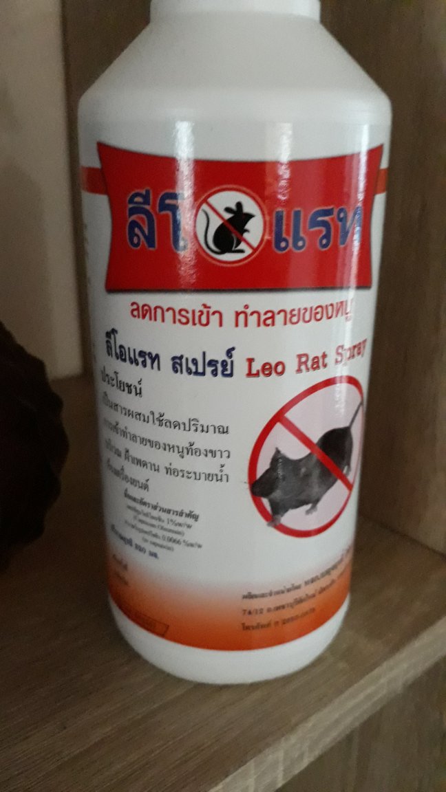 20181102_170502.jpg