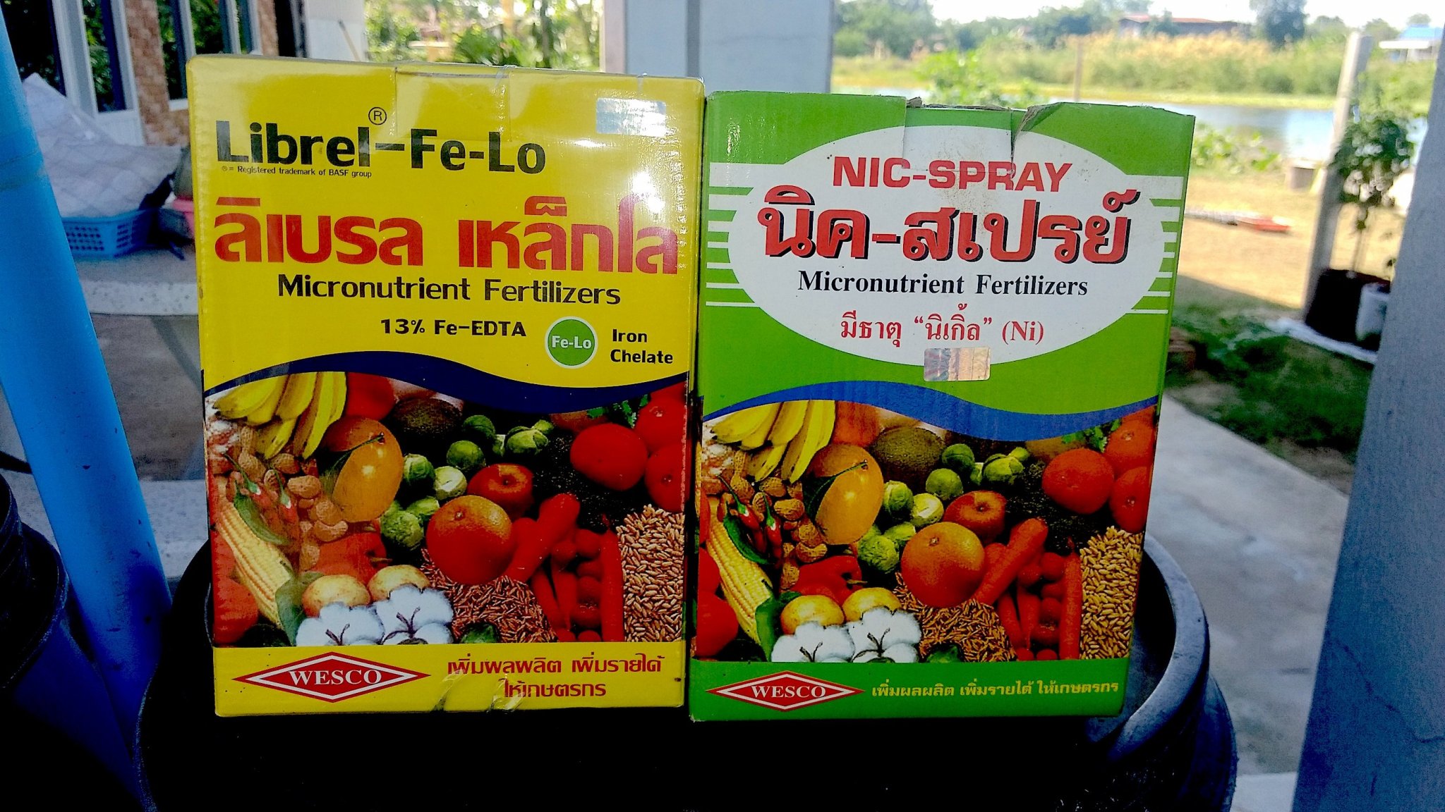 Fe Nic.jpg