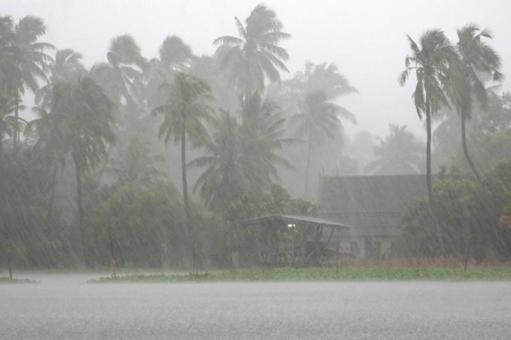 RAINS IMAGE.jpg