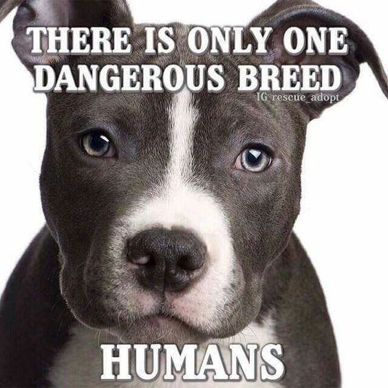 485915179_Onlyonedangerousbreedhumans.jpg.6558b3ec55832607892e4e0f3a34f1c8.jpg