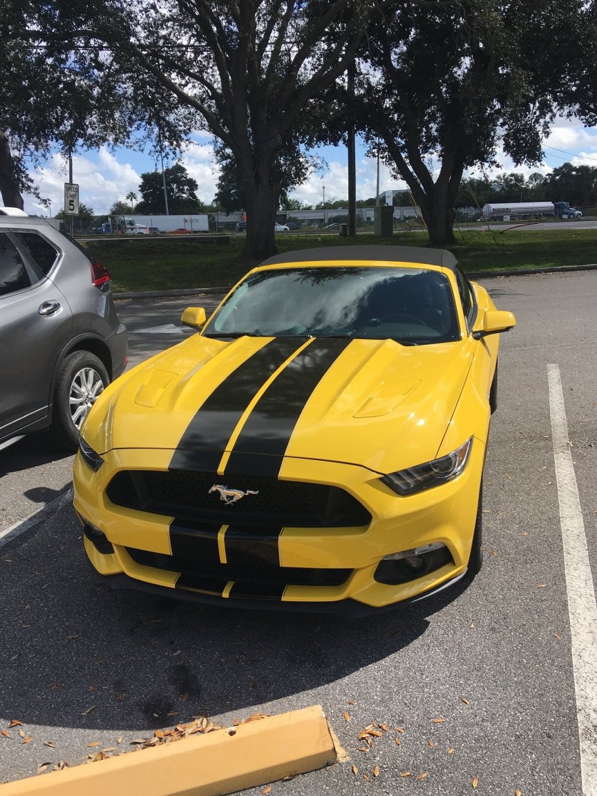 87AF8C7F-6156-4523-AB5F-960F82878F06.jpeg