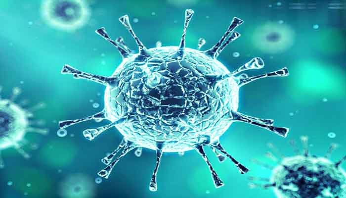Chikungunya-virus.jpg