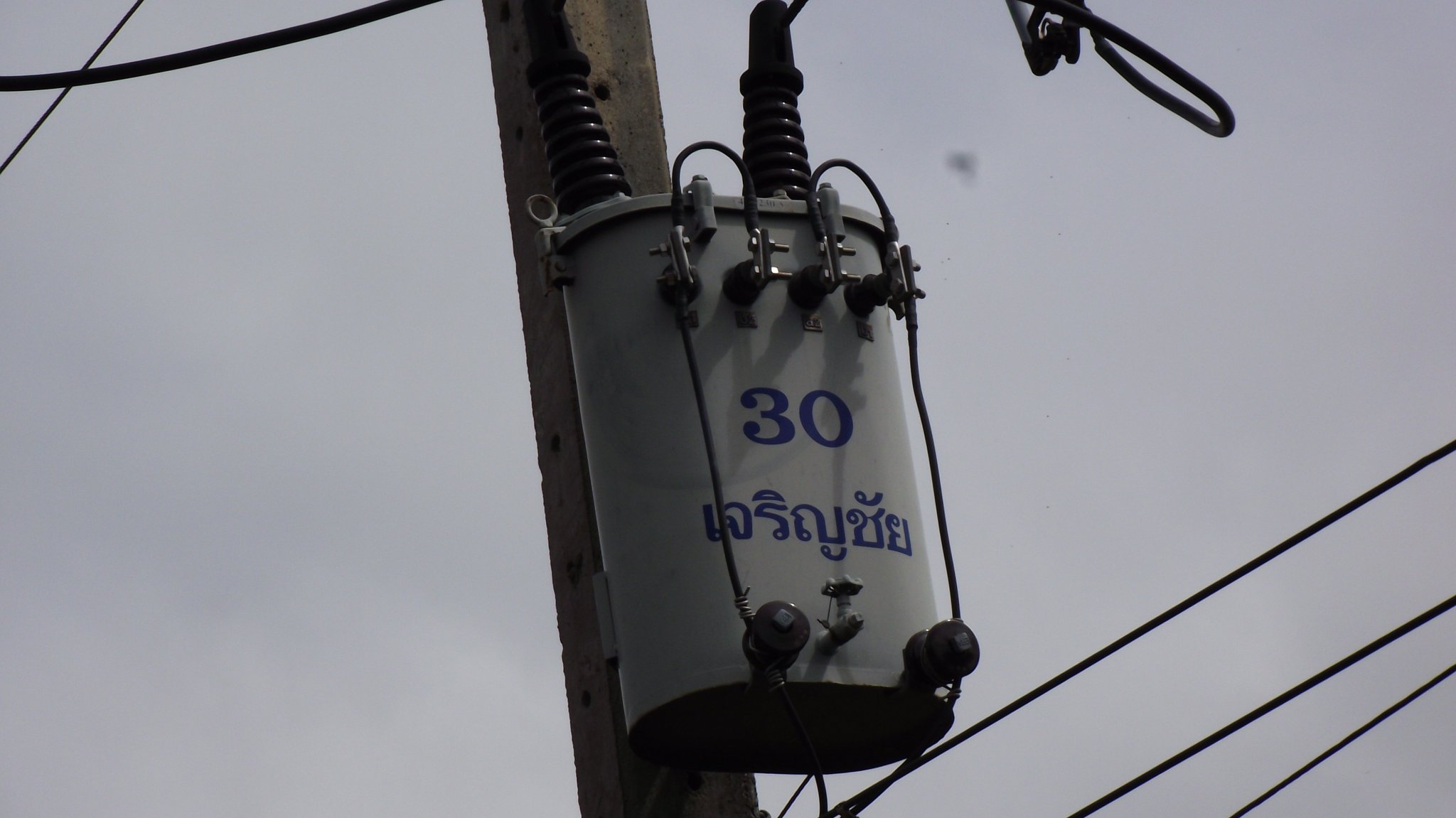 DSCF1016.JPG