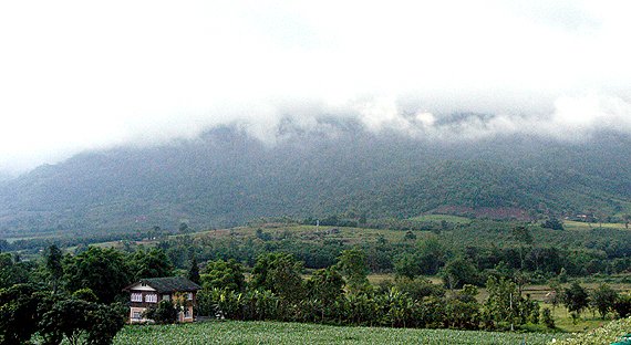 ID_1165_Large.jpg