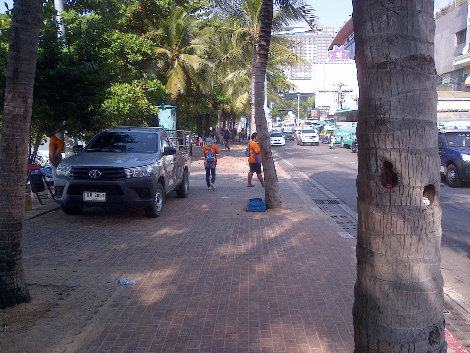 IMG-20181105-01575.jpg