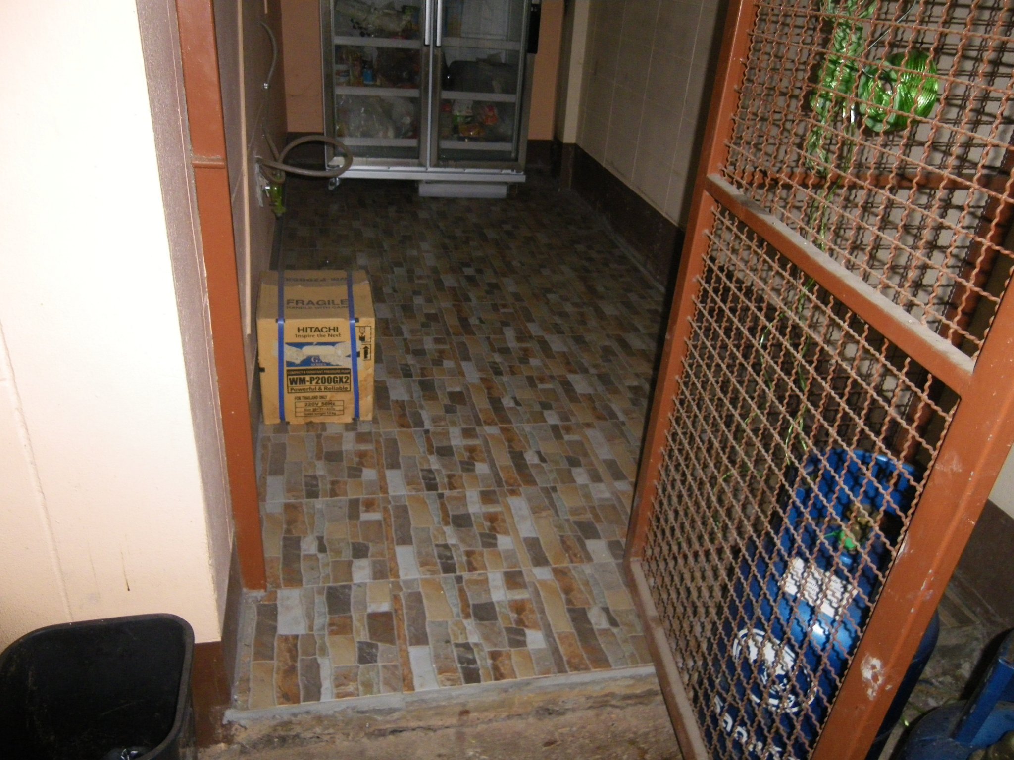 IMGP0006.JPG