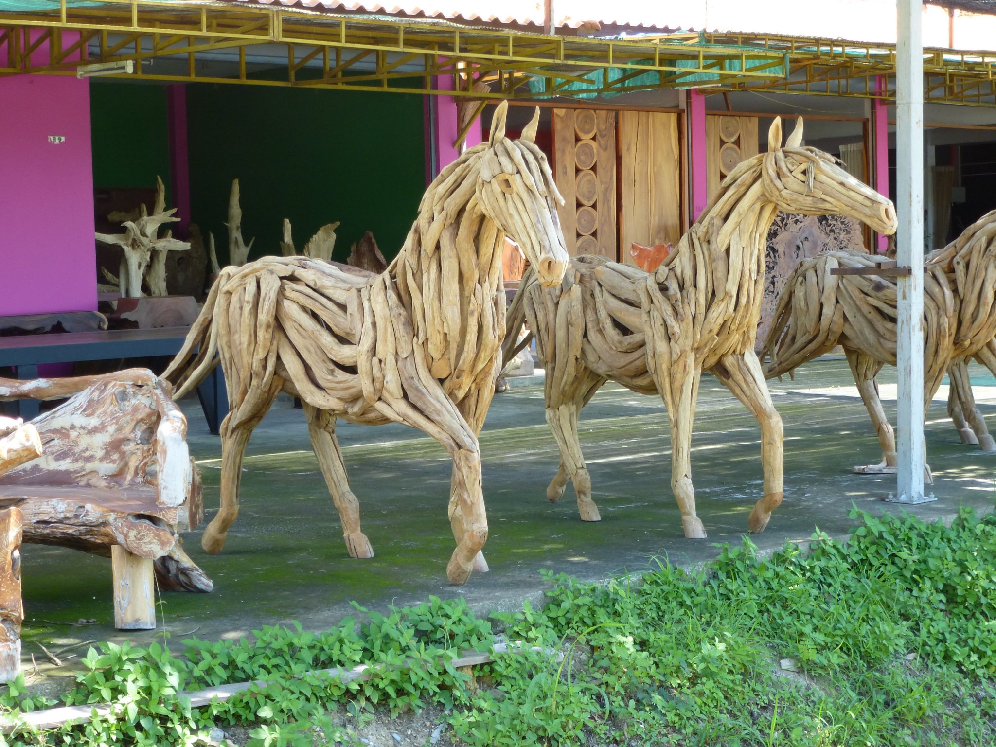 P1000950.JPG