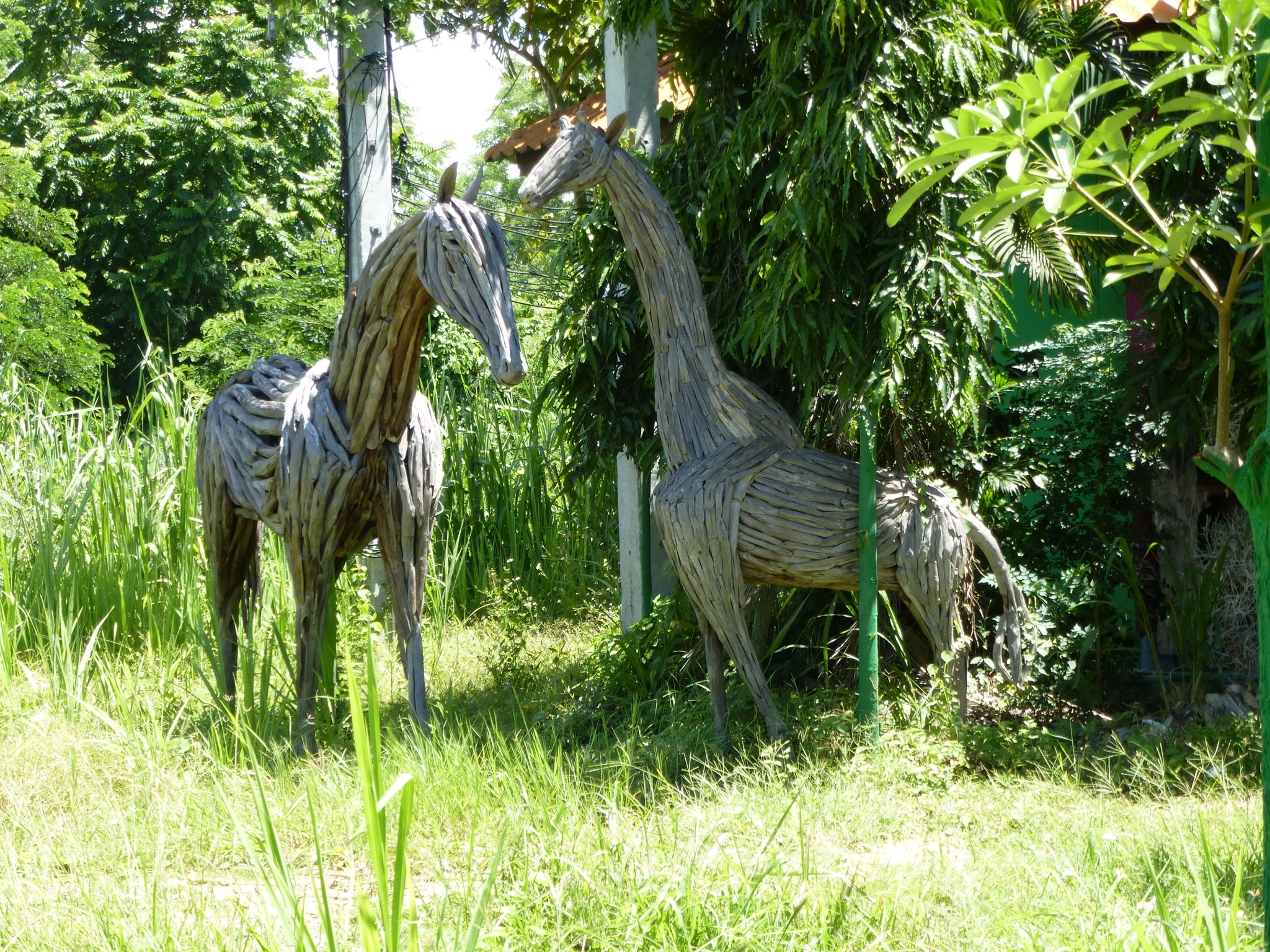 P1000951.JPG