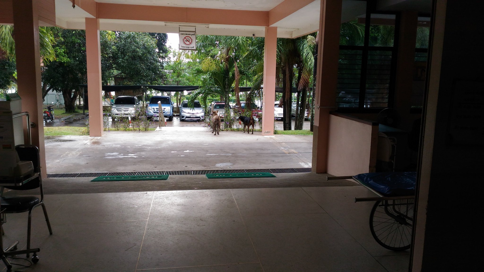 P_20180322_135809.thumb.jpg.9ff7427ae61a819d002507cacc006cb7.jpg