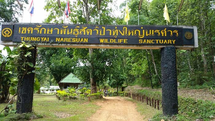 Thung-Yai.jpg