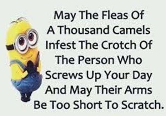 ass.jpg.f00955019e25b5a00e90773a73212fe2.jpg