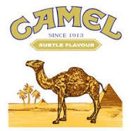 camel.jpg.98441e6d03031cbb32191d7f40804c26.jpg