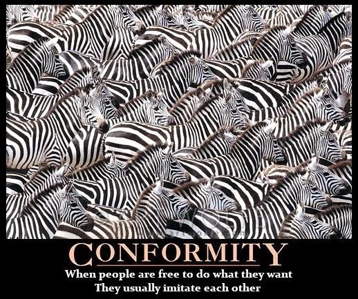 conformity.JPG.e45ebbe07dbc71b8a2be629414438a10.JPG