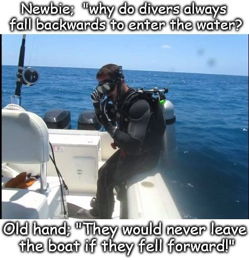 diver.jpg.96744a0e6fee401c4d142d5a1b87bc52.jpg