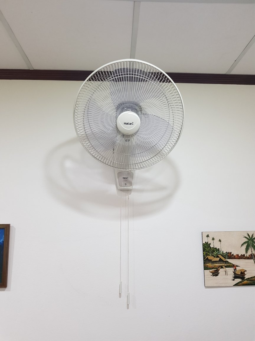 fan.jpg